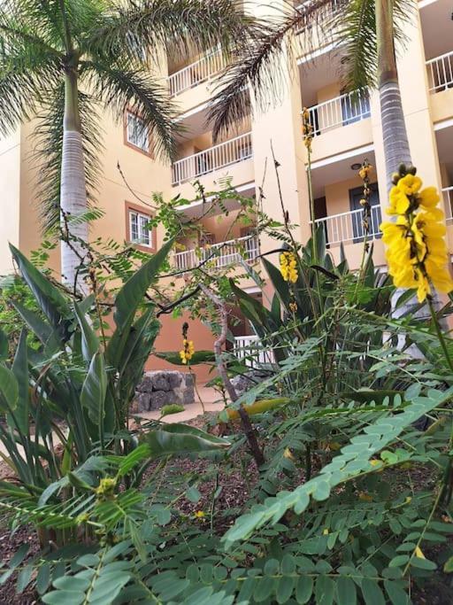 Tropical Apartment - Heated Pool Palm-mar Exterior photo